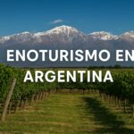 Enoturismo en Argentina: Un viaje por los viñedos de Mendoza y San Juan